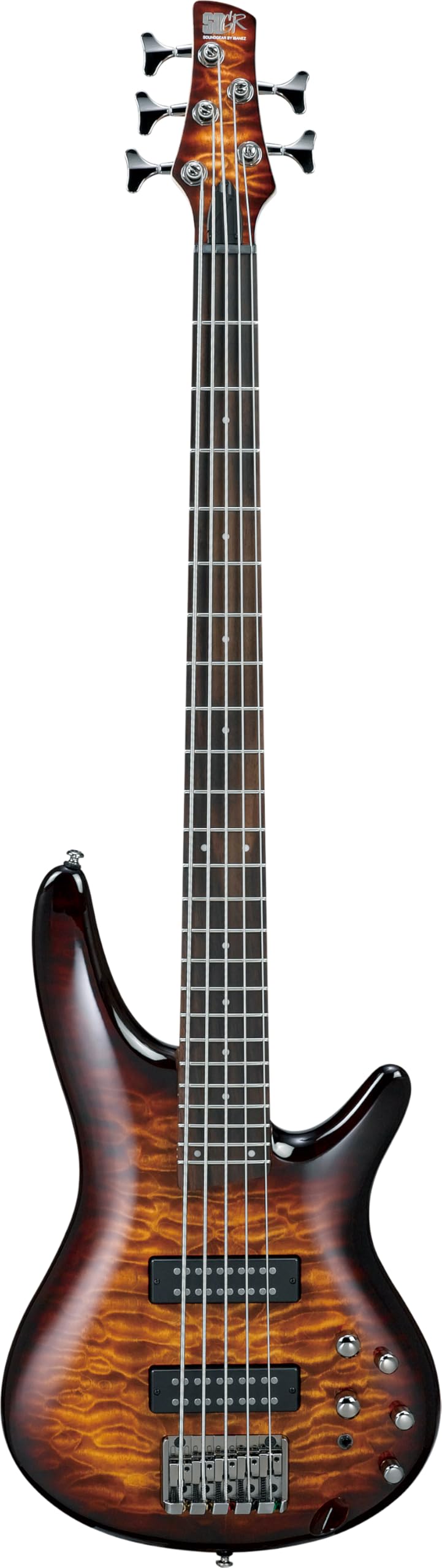 Amazon.com: Ibanez SR405E SR Standard 5-String - Dragon Eye Burst